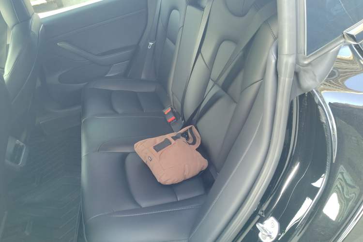 Used Tesla Model 3 2021 Standard Range Rear-Wheel Drive Upgraded Version 3D6
