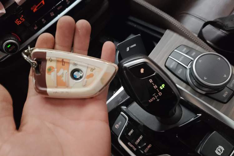 Used BMW 5 Series New Energy 2019 Updated Version 530Le Luxury Package
