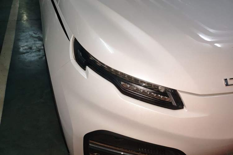 Used Dayun Yuehu 2022 30.66 kWh Two-Wheel Drive Standard Version