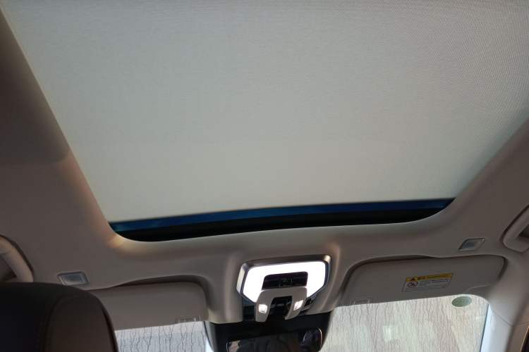 Used Hongqi E-HS9 2021 460 km Range Flagship Edition Six-Seater