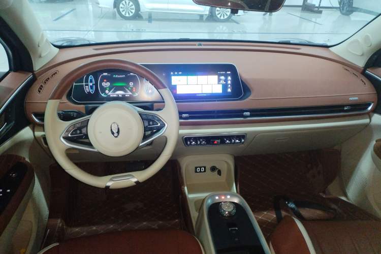 Used ORA Good Cat 2022 Morandi Edition 400km Standard Range Luxury Version Lithium Iron Phosphate Center Console