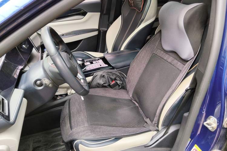 Used BYD Qin PLUS 2021 DM-i 55KM Flagship Model Left Front Seat