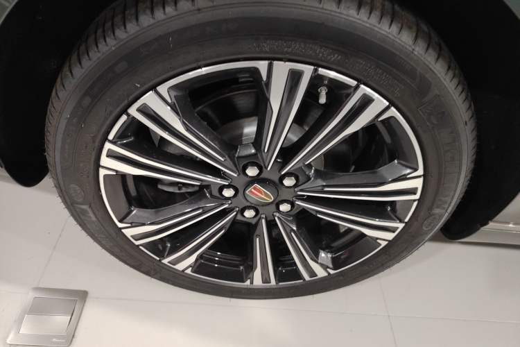 Used Hongqi H9 2024 2.0T Qixiang Private Style Edition
