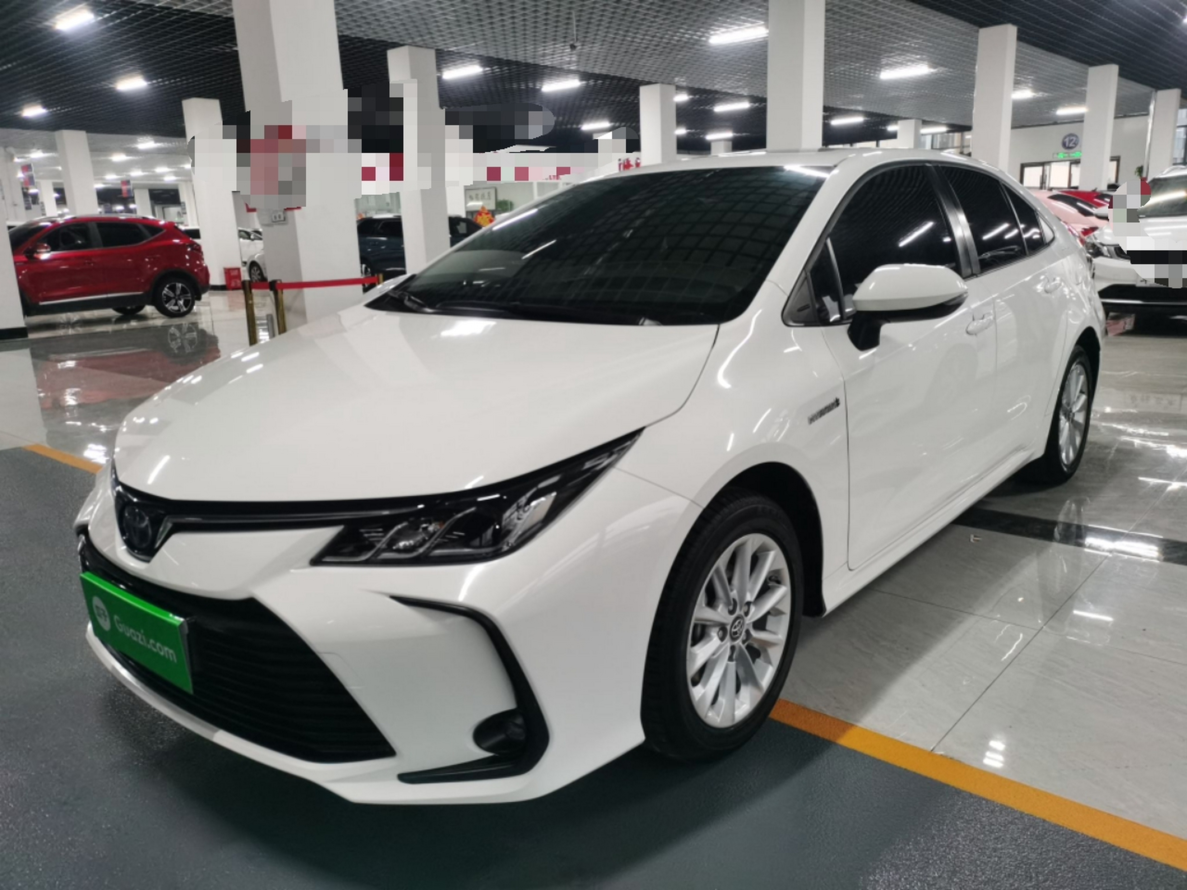 Parte inferior delantera