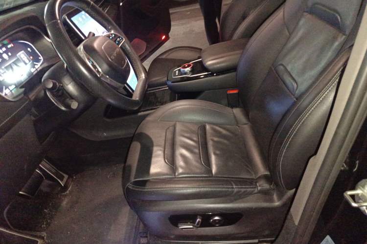 Used SERES SF5 2020 Two-Wheel Drive High-Performance Sports Edition
