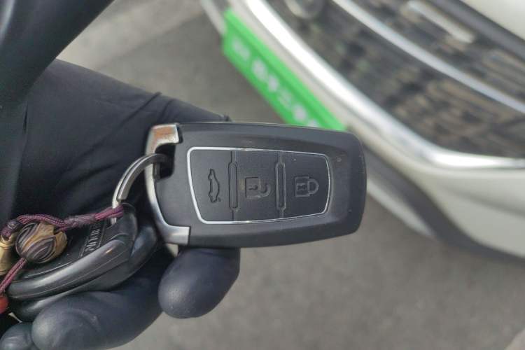 Used FORTHING T5L 2020 1.8T Manual Luxury 7-Seater China VI Standard