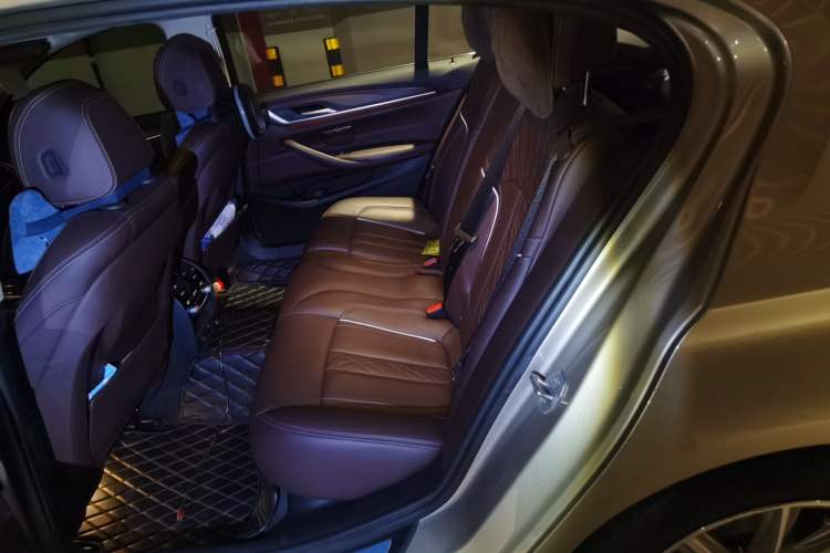 Used BMW 5 Series New Energy 2019 530Le Luxury Package
