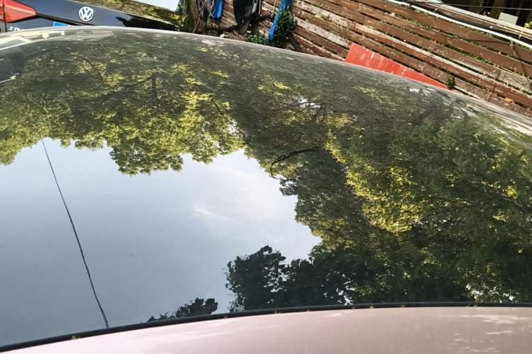 Used ORA Lightning Cat 2022 555 km Luxury Edition
