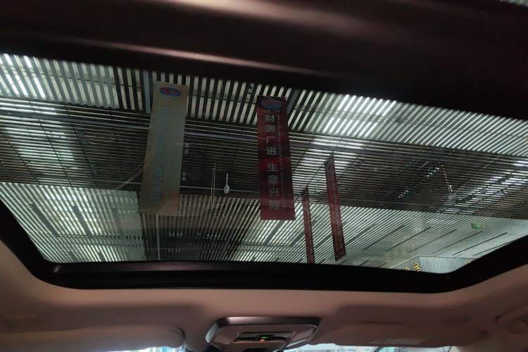 Used Hongqi H9 2022 2.0T Smart Connect Flagship Edition Headliner