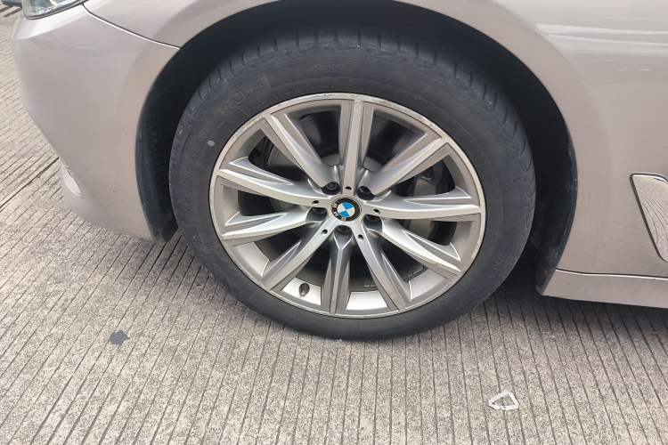 Used BMW 5 Series 2018 528Li Launch Special Edition
