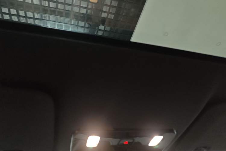 Used Li Auto i6 2025 Model Two-Wheel-Drive Standard Type Headliner