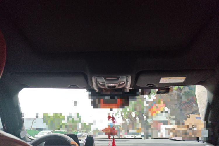 Used Haval DARGO 2021 1.5T DCT Two-Wheel Drive Border Collie - Wangcai Edition Headliner