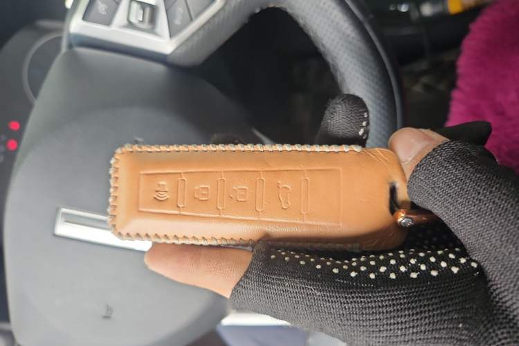 Used Wey VV5 2020 1.5T Two-Wheel Drive Color Pioneer
