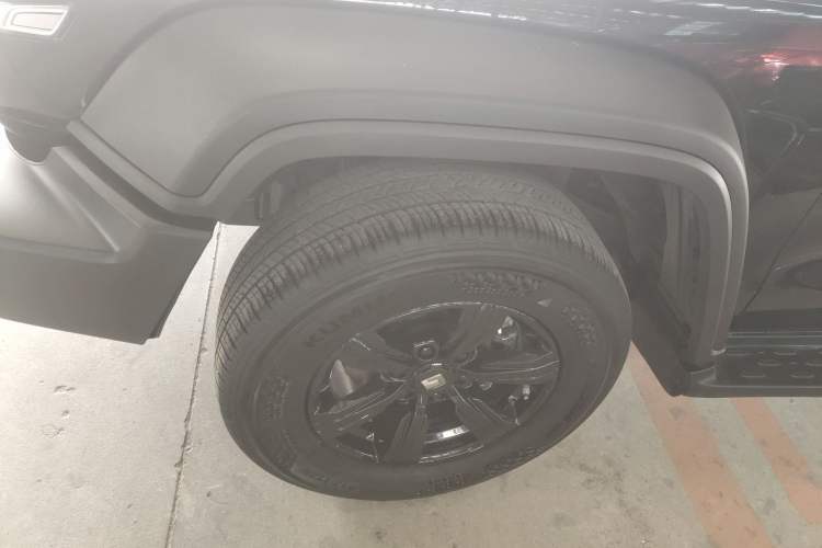 Used Tank 300 2024 2.0T Conqueror