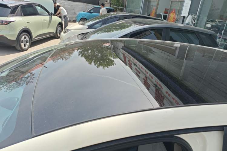 Used BYD Dolphin 2024 Honor Edition 420km Fashion Version