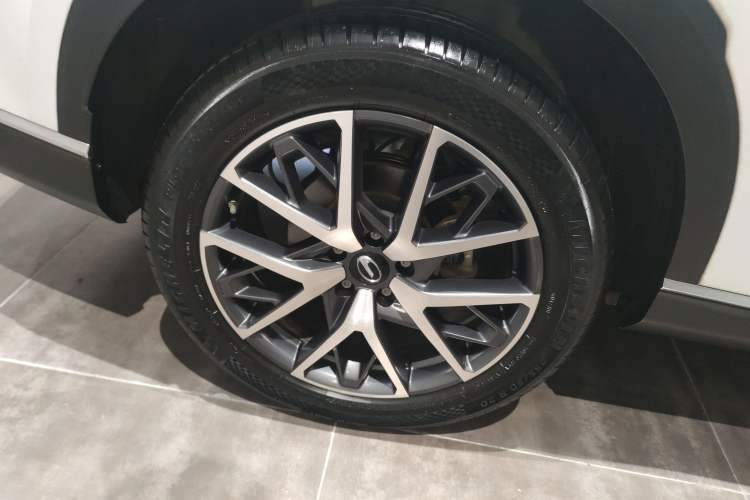 Used GAC Trumpchi GS8 2022 Linghang Series 2.0 TGDI Two-Wheel-Drive Luxury Smart Connectivity Version (7 Seats)