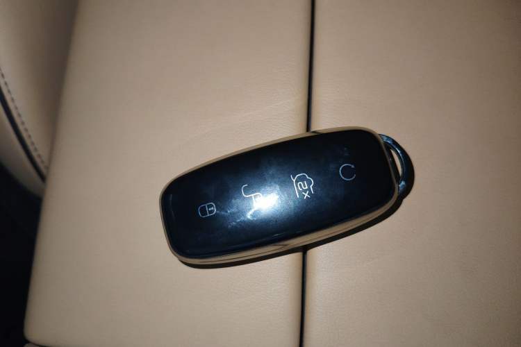 Used Denza D9 2024 DM-i 980 Four-Wheel Drive Flagship Model
