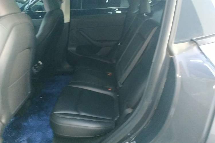 Used Tesla Model Y 2022 Revised Version Rear-Wheel Drive Left Rear Seat