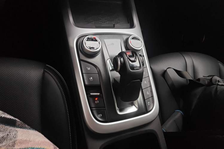 Used Tank 300 2024 2.0T Crosser Gear Lever