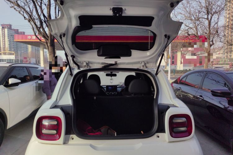 Used ORA Black Cat 2019 351 km Family Edition