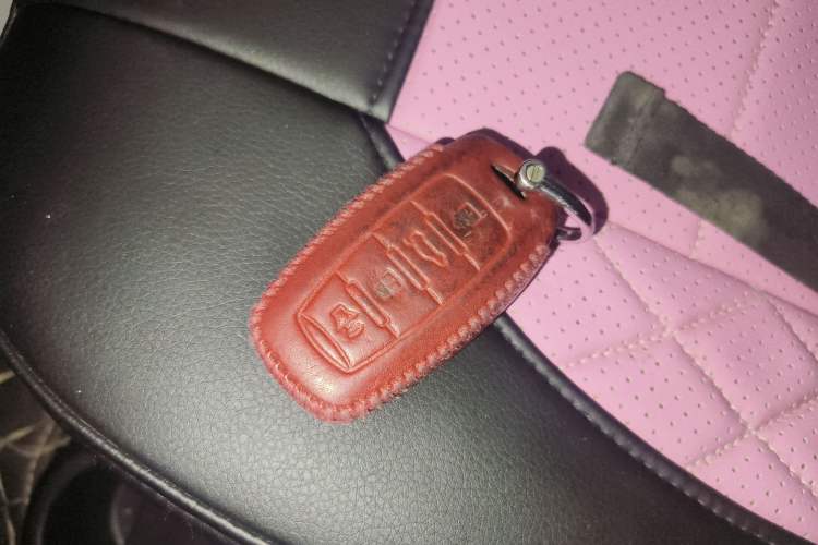 Used ORA Black Cat 2021 351 km Luxury Version
