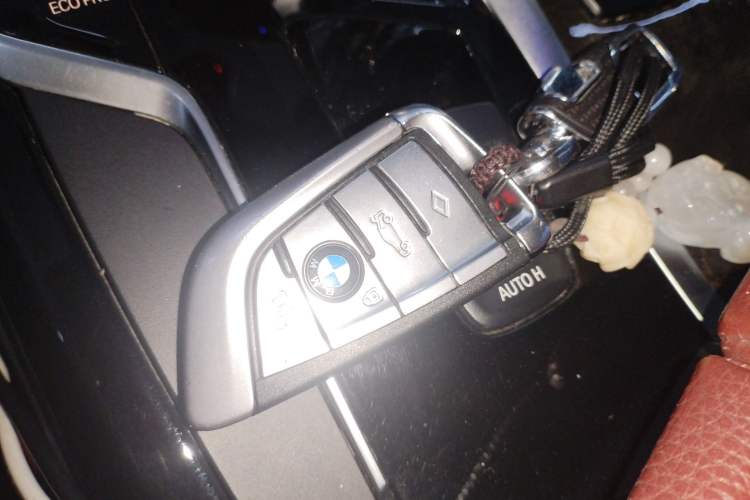 Used BMW 5 Series 2019 530Li Leading Model M Sport Package