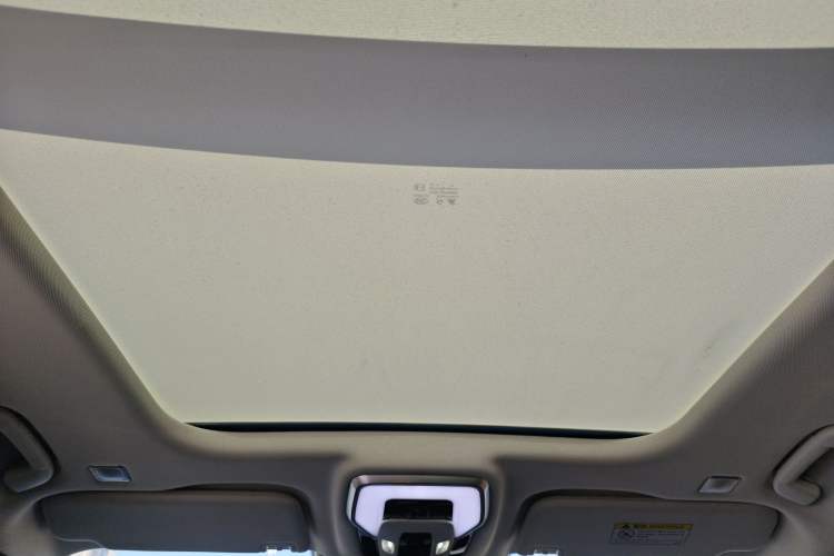 Used Hongqi E-HS9 2022 690 km Range Flagship Edition Six Seats Headliner