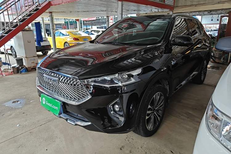 Used Haval F7 2020 2.0T Two-Wheel Drive i-Van