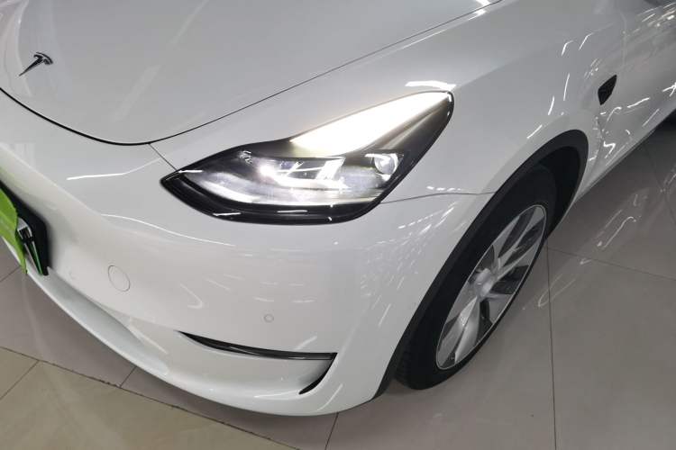 Used Tesla Model Y 2021 Standard Range Rear-Wheel Drive Version
