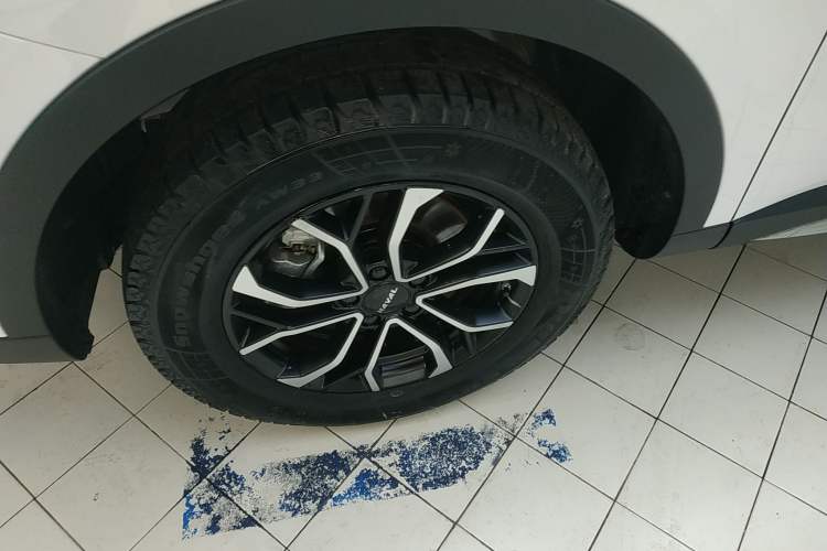 Used Haval H6 2023 National Trend Edition 1.5T Automatic Urban Version
