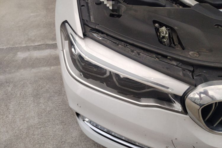 Used BMW 5 Series 2020 530Li Leading Edition Luxury Package