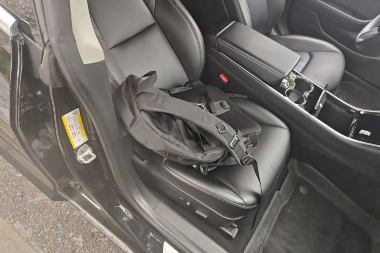 Used Tesla Model 3 2019 Standard Range Rear-Drive Upgraded Version