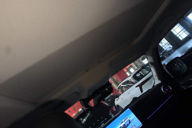 Used Tank 300 New Energy 2025 Hi4-T Headliner