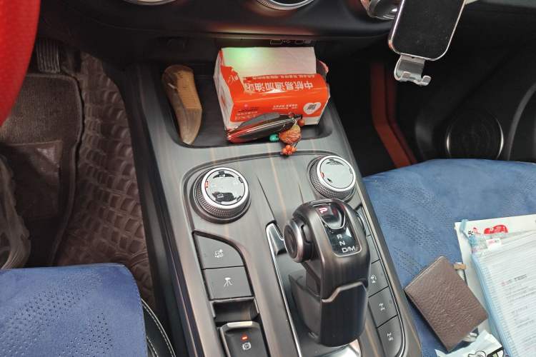 Used Tank 300 2021 Off-Road Edition 2.0T Conqueror
