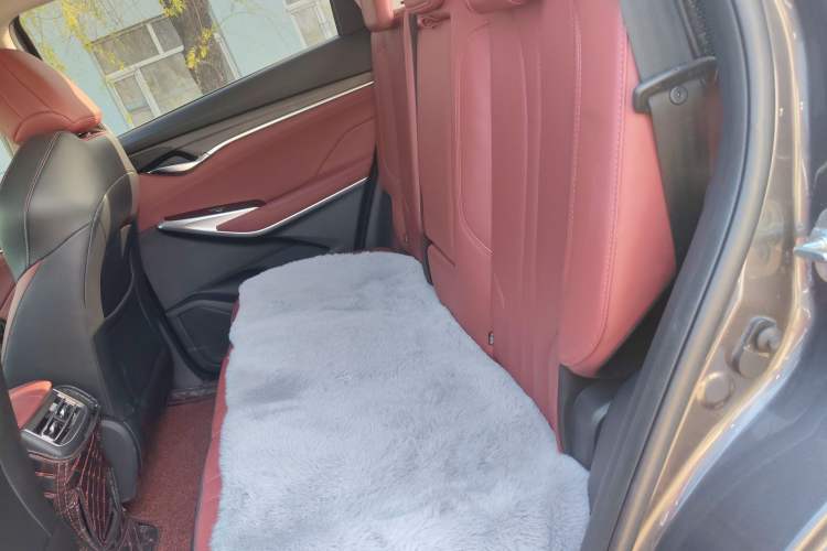 Used CHANGAN CS75 PLUS 2020 1.5T Automatic Luxury Version Left Rear Seat