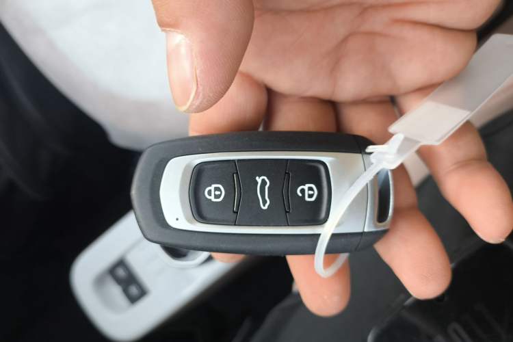 Used Geely Galaxy Panda 2024 Panda Mini 200km Endurance Bear Vehicle Key