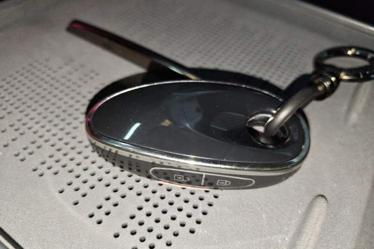 Used VOYAH COURAGE 2024 Four-Wheel Drive Global Edition