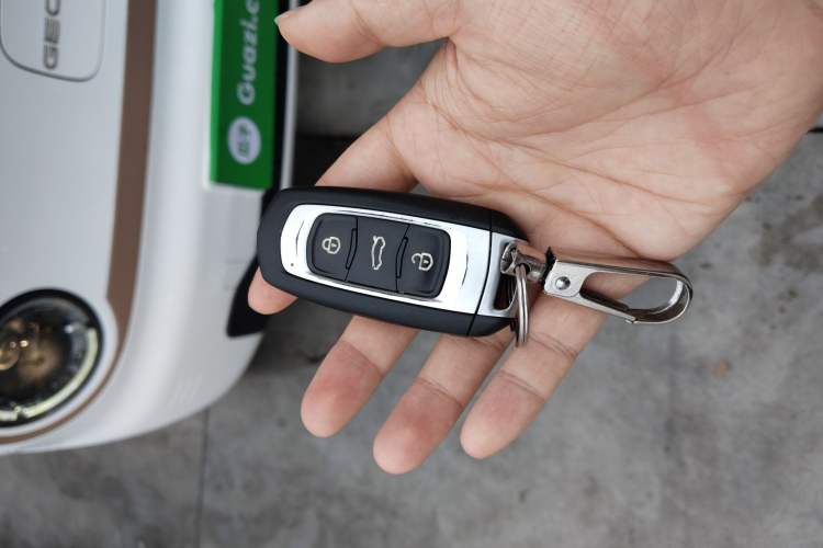 Used Geely Galaxy Panda 2024 Panda Mini 200km Endurance Bear Vehicle Key