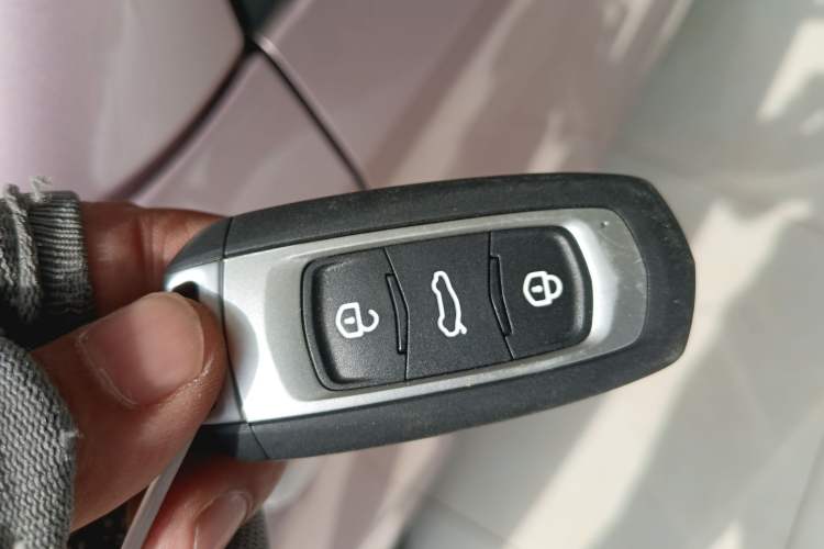 Used Geely Galaxy Panda 2024 Panda Mini 200km Endurance Bear