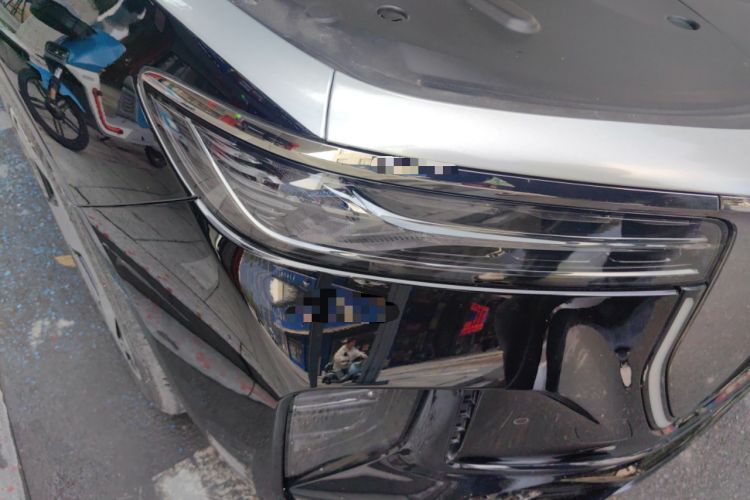 Used Hongqi H9 2024 2.0T Qixiang Private Style Edition
