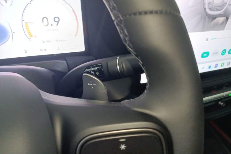 Used Tank 300 2025 2.4T Diesel Version