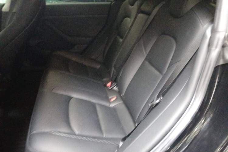 Used Tesla Model 3 2022 Rear-Wheel-Drive Version
