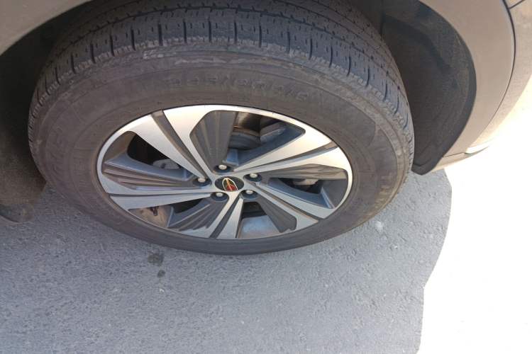 Used Hongqi HS5 2019 2.0T Smart Connect Flagship Edition