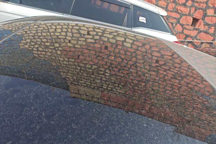 Used Volkswagen Golf 2021 280TSI DSG Pro Roof