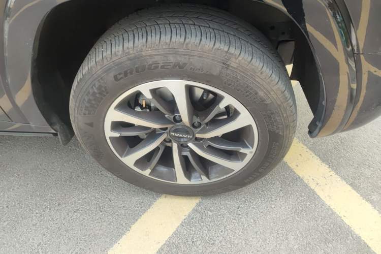 Used Haval H9 2024 2.0T Gasoline All-Wheel-Drive Extreme Edition
