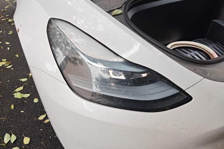 Used Tesla Model Y 2024 Rear-Wheel-Drive Version