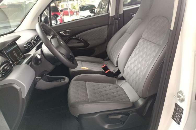 Used Leapmotor T03 2021 400 Luxury Edition Left Front Seat