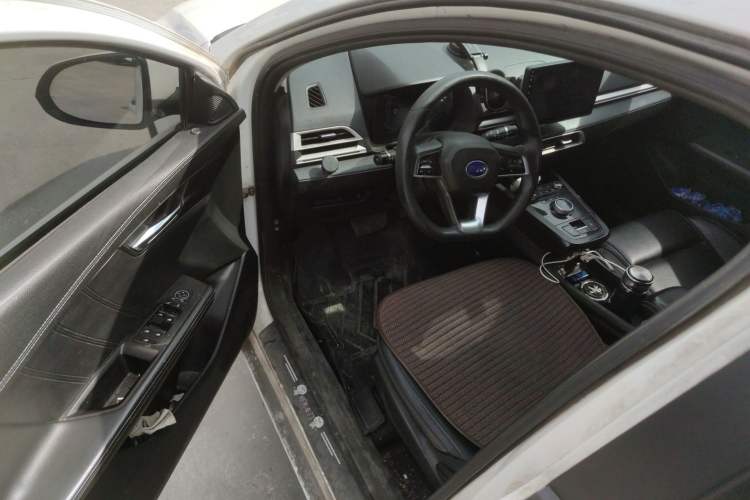 Used BYD e2 2019 Long-Range Version Yao·Luxury Trim