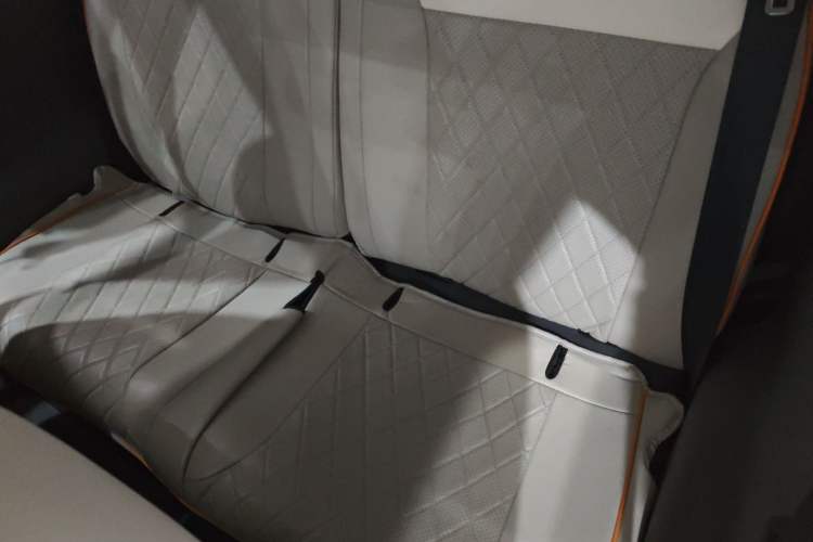 Used Qiyuan Lumin 2023 205km Xiangqin Version
