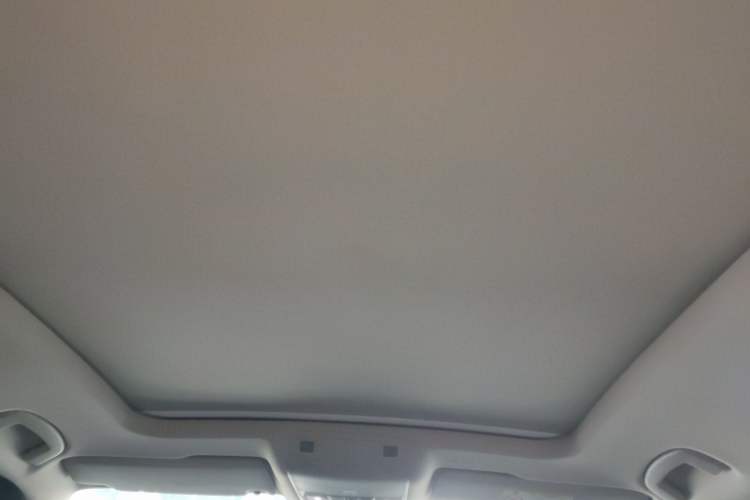 Used Volkswagen Magotan 2020 330TSI DSG Luxury Edition Headliner